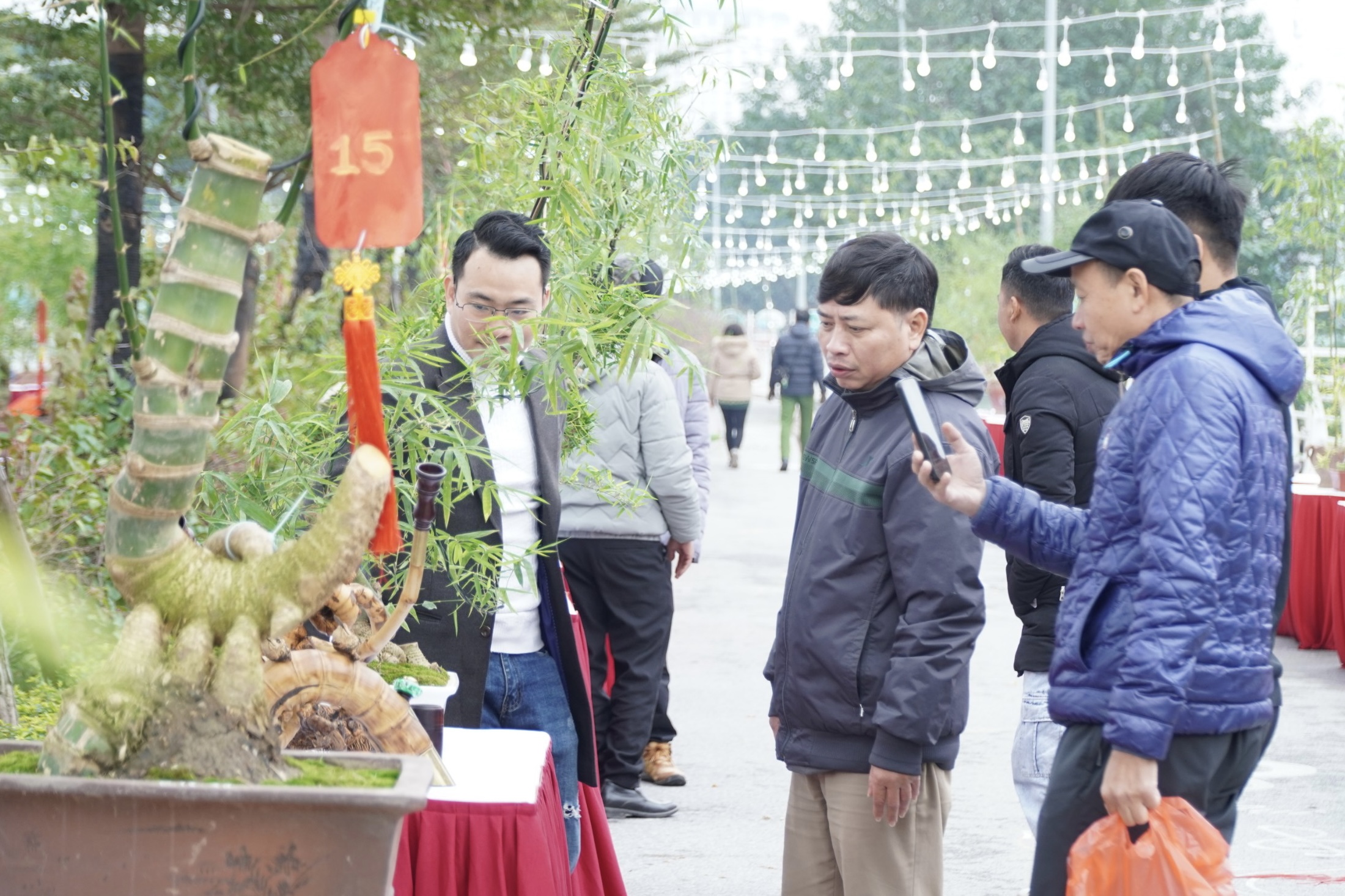 Lần đầu tiên Triển lãm Bonsai tre, Lễ hội hoa đào, quất cảnh được tổ chức tại Hà Nội- Ảnh 5.