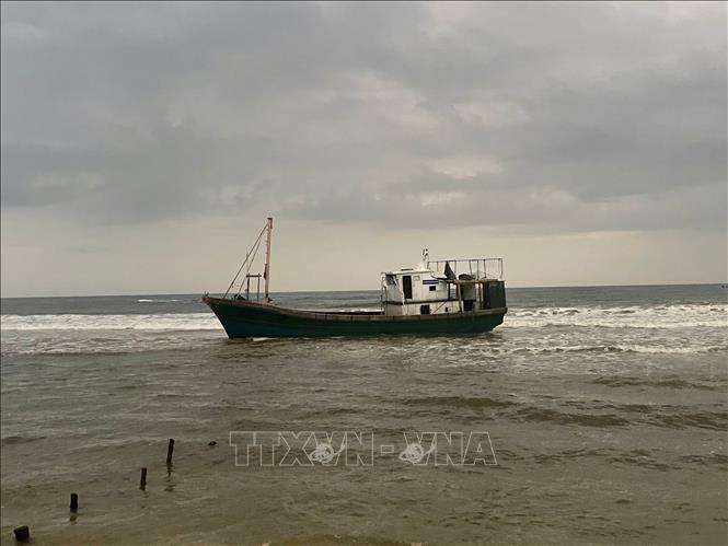 Phát hiện 'tàu ma' trôi dạt vào bờ biển Quảng Trị- Ảnh 1.