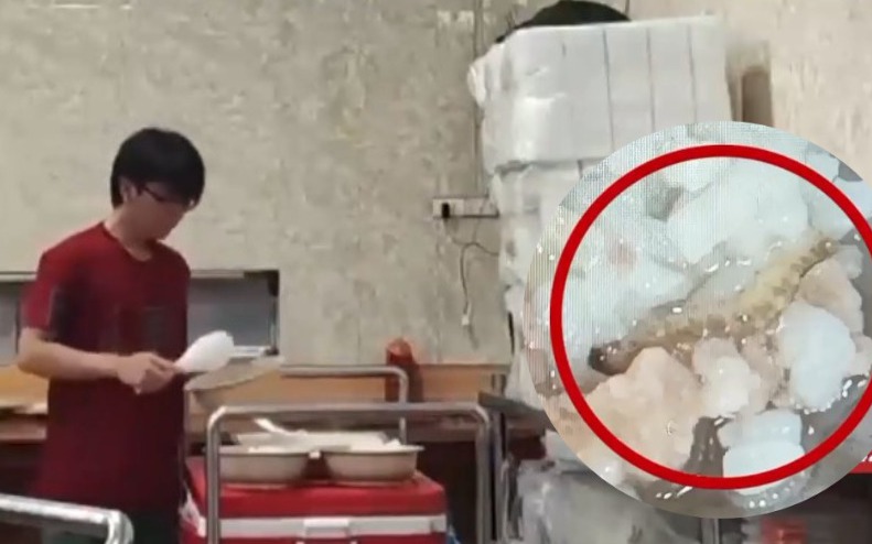 Phó Thủ tướng yêu cầu xử lý nghiêm sai phạm liên quan đến bữa ăn tại ĐH Bách khoa Hà Nội