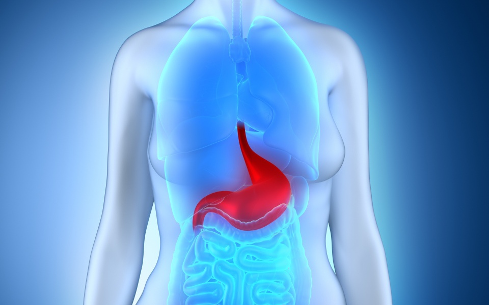 Các vấn đề liên quan đến HIV ảnh hưởng đến đường ruột như thế nào?