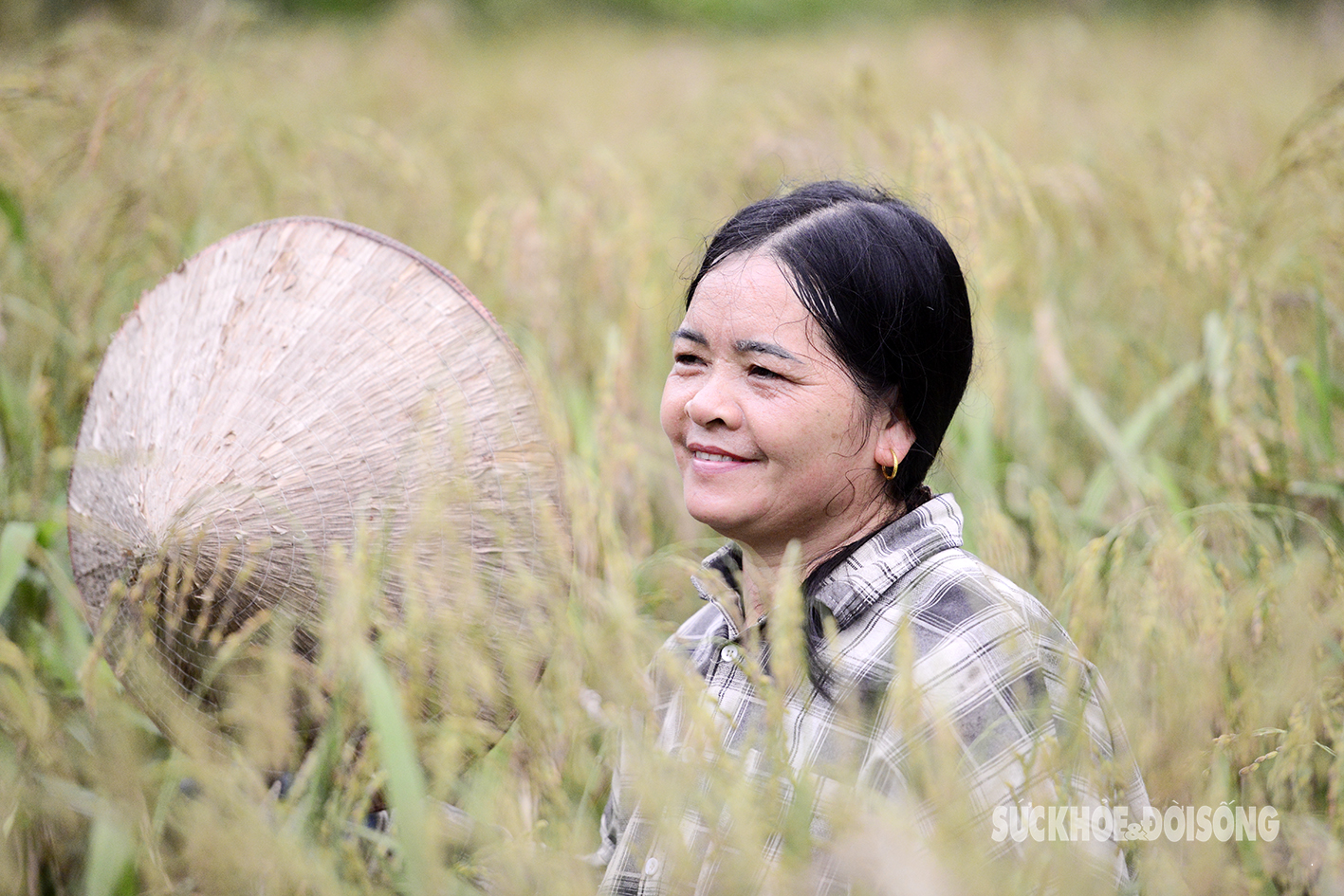 Dẻo thơm hương cốm vùng cao- Ảnh 9.