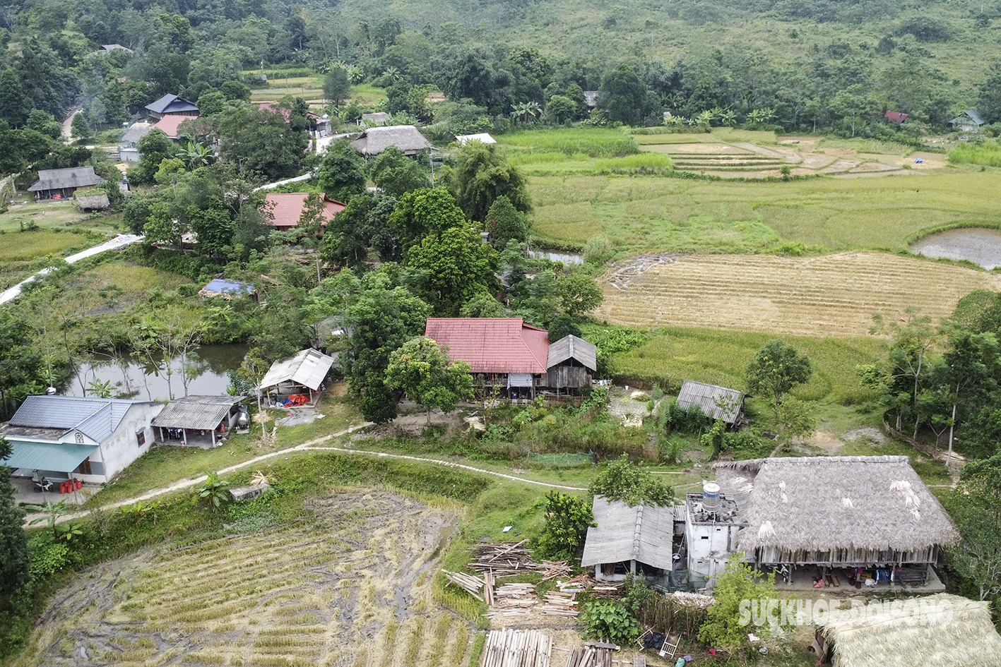 Dẻo thơm hương cốm vùng cao- Ảnh 1.