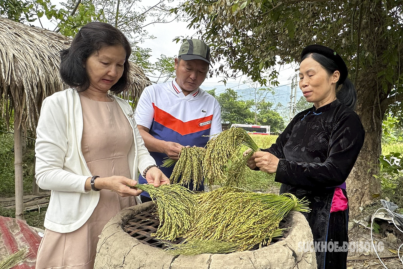 Dẻo thơm hương cốm vùng cao- Ảnh 5.