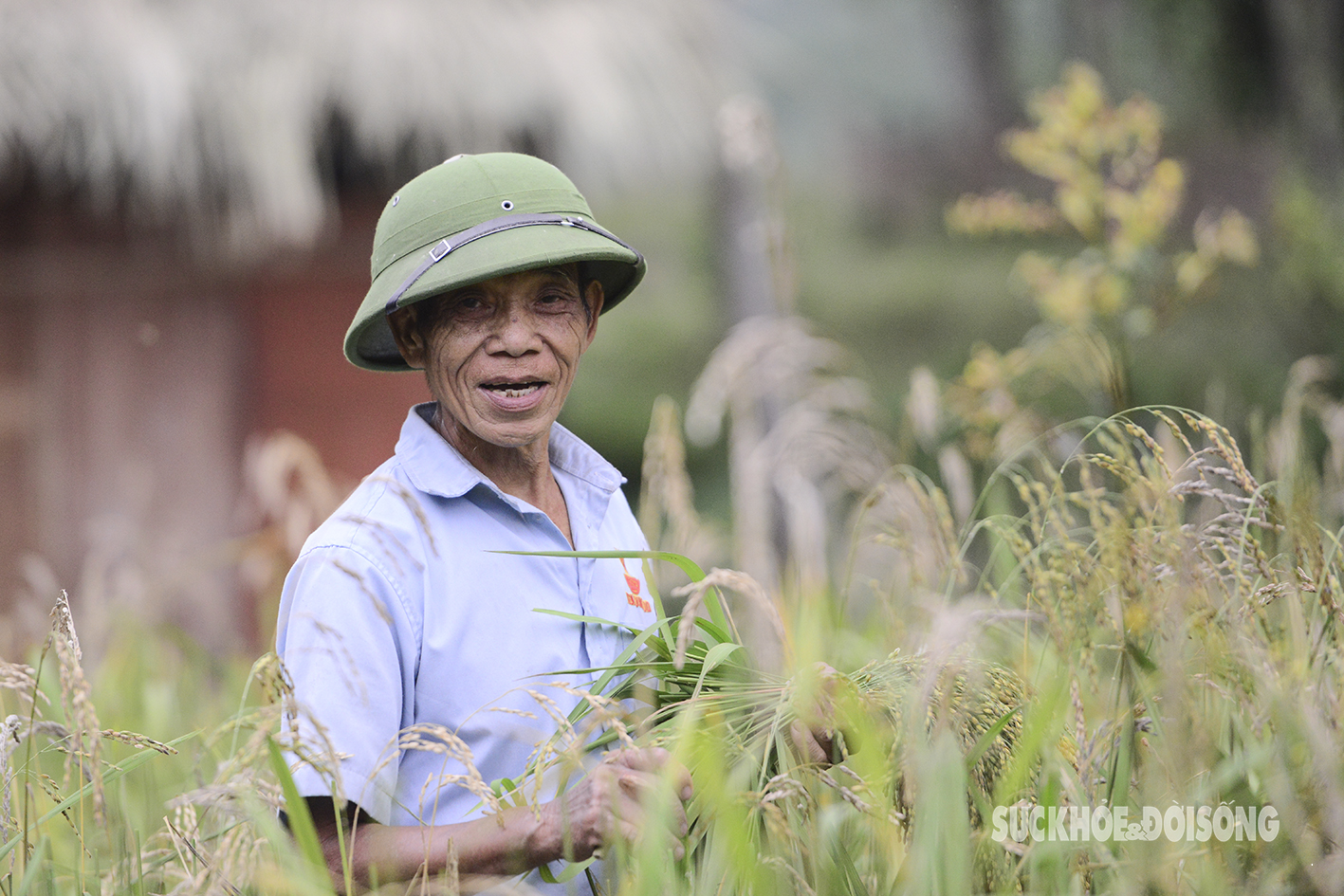 Dẻo thơm hương cốm vùng cao- Ảnh 11.