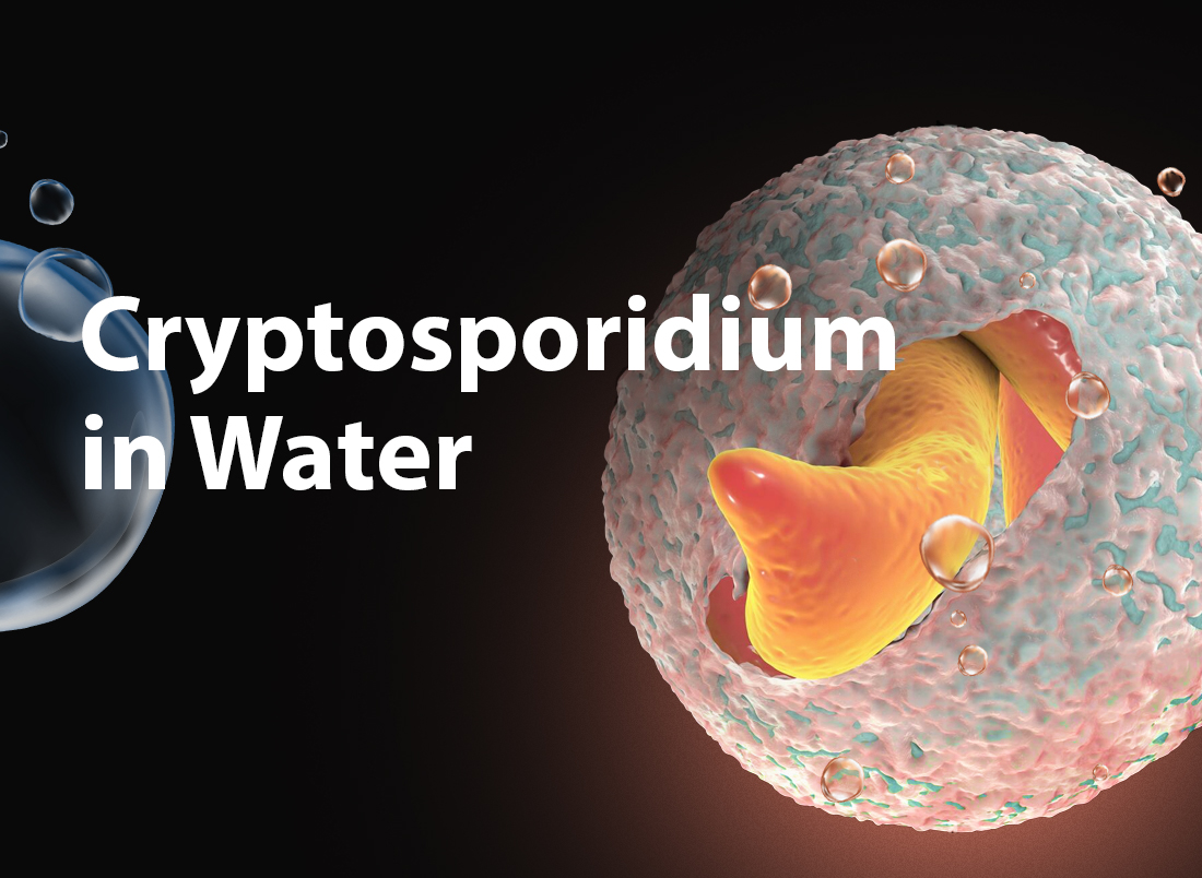 Bệnh do Cryptosporidium: Nguyên nhân, biểu hiện, cách điều trị và phòng bệnh- Ảnh 1.