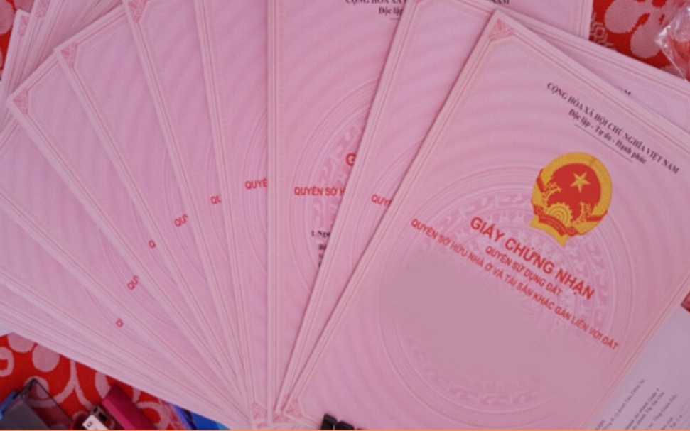 Phó Tổng giám đốc Công ty CP Nhiệt điện Quảng Ninh bị khởi tố, tạm giam về tội danh gì?- Ảnh 2. Phó Tổng giám đốc Công ty CP Nhiệt điện Quảng Ninh bị khởi tố, tạm giam về tội danh gì?- Ảnh 2.