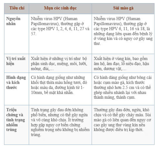 Các biến chứng mụn cóc sinh dục- Ảnh 3.