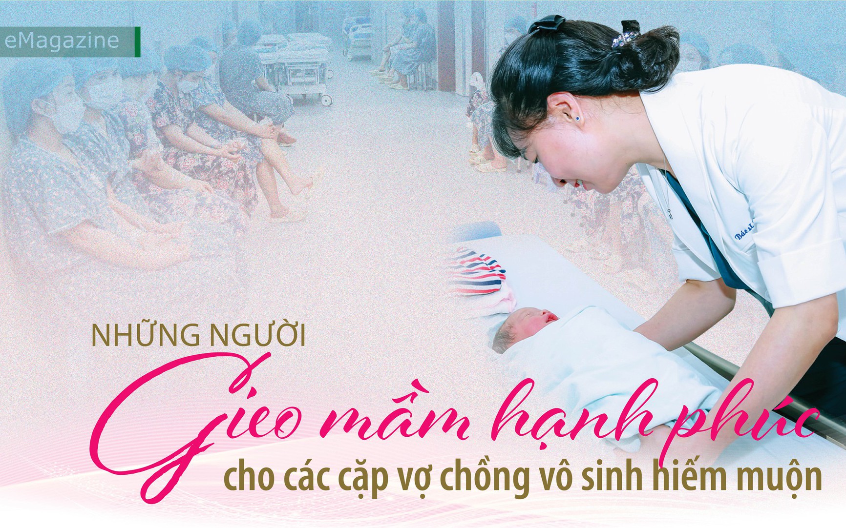 Những người gieo mầm hạnh phúc cho các cặp vợ chồng vô sinh hiếm muộn