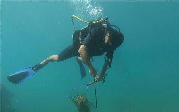 Quản lý bền vững tài nguyên hệ sinh thái bờ biển, giảm rủi ro thiên tai- Ảnh 3.