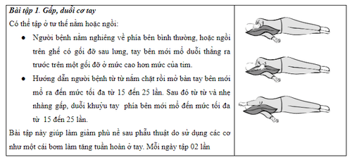 Bài tập cho người bệnh ung thư vú- Ảnh 2.