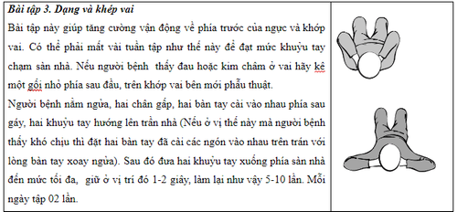 Bài tập cho người bệnh ung thư vú- Ảnh 15.