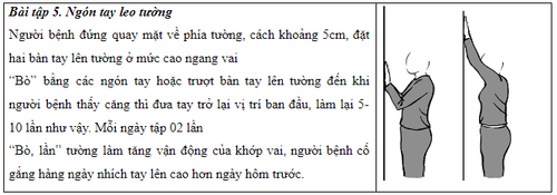 Bài tập cho người bệnh ung thư vú- Ảnh 17.