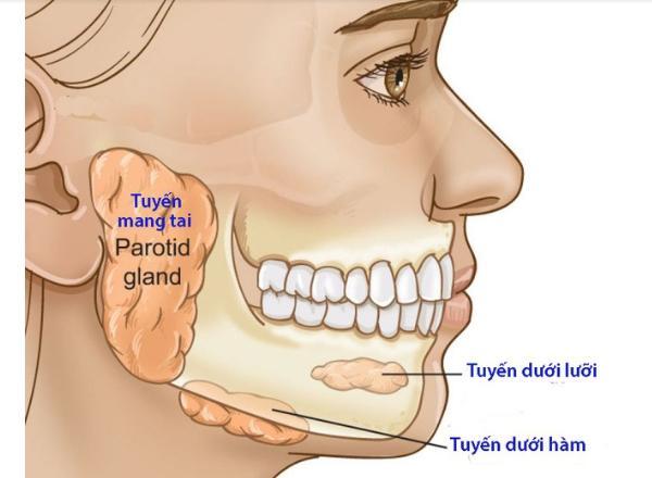 Chế độ ăn cho người bệnh viêm tuyến nước bọt- Ảnh 1.