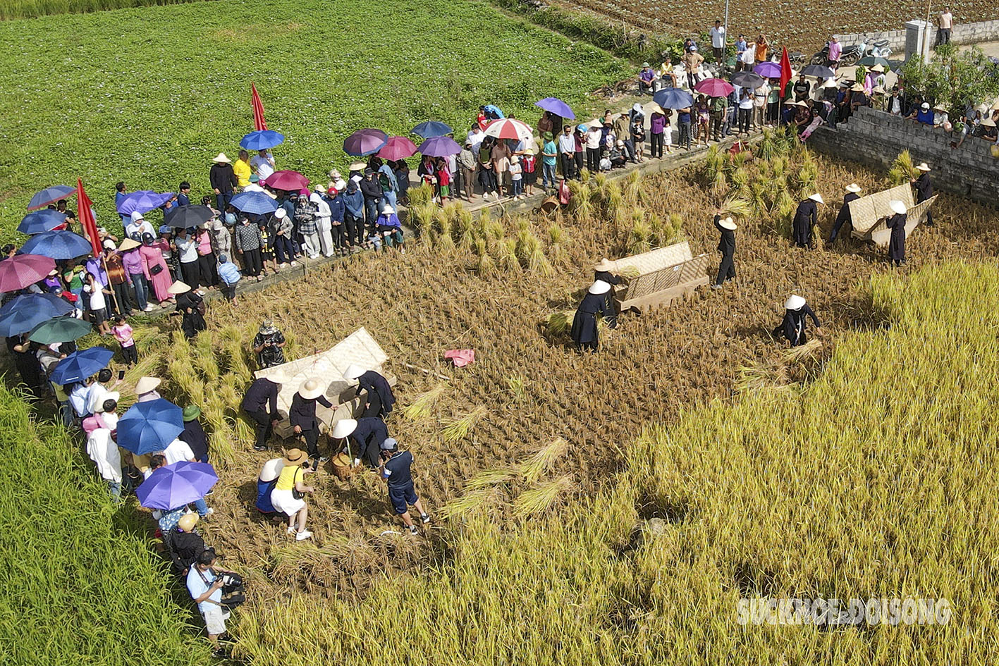 Rộn ràng niềm vui trên thung lũng Bắc Sơn- Ảnh 4.