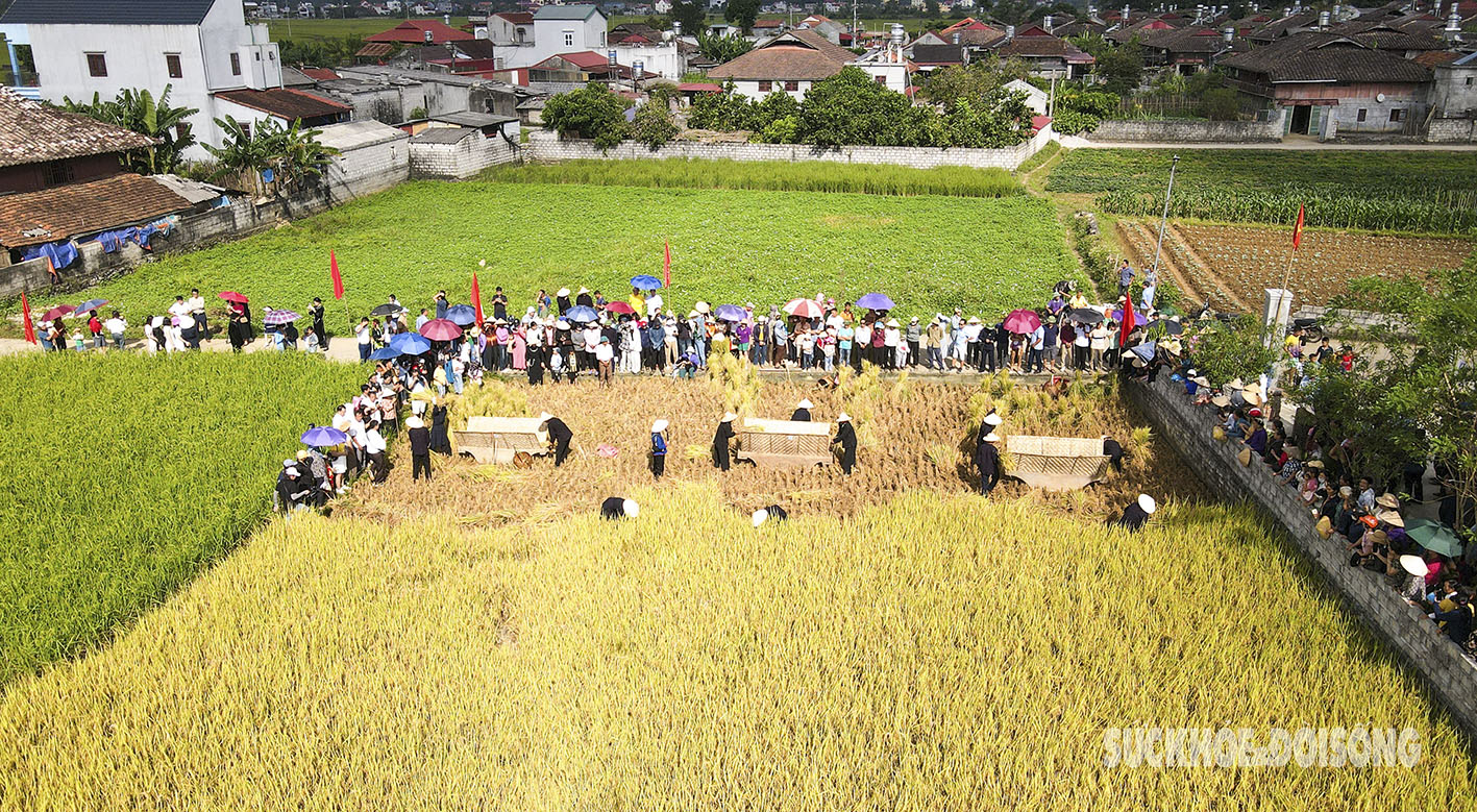 Rộn ràng niềm vui trên thung lũng Bắc Sơn- Ảnh 6.