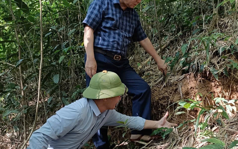 Di dời khẩn cấp các hộ dân vì xuất hiện vết nứt ngang đồi