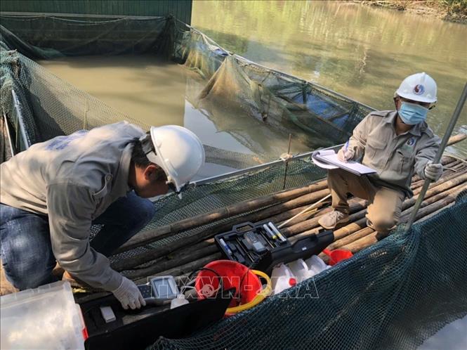 Vụ cá chết hàng loạt ở Tuyên Quang: Tất cả mẫu nước đều không đạt quy chuẩn- Ảnh 1.