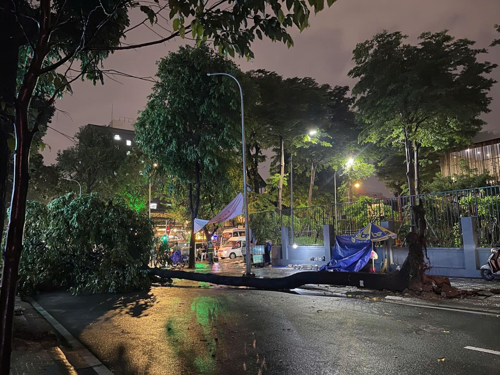 TP Hồ Chí Minh: Cây xanh ngã đổ trong mưa đè trúng 4 người