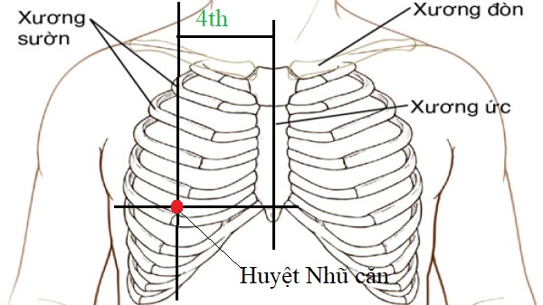 Bài tập cho người bị giãn ống dẫn sữa- Ảnh 3.