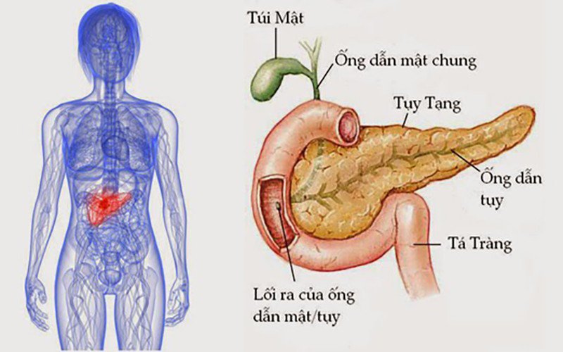 4. Chẩn đoán đau tuyến tụy