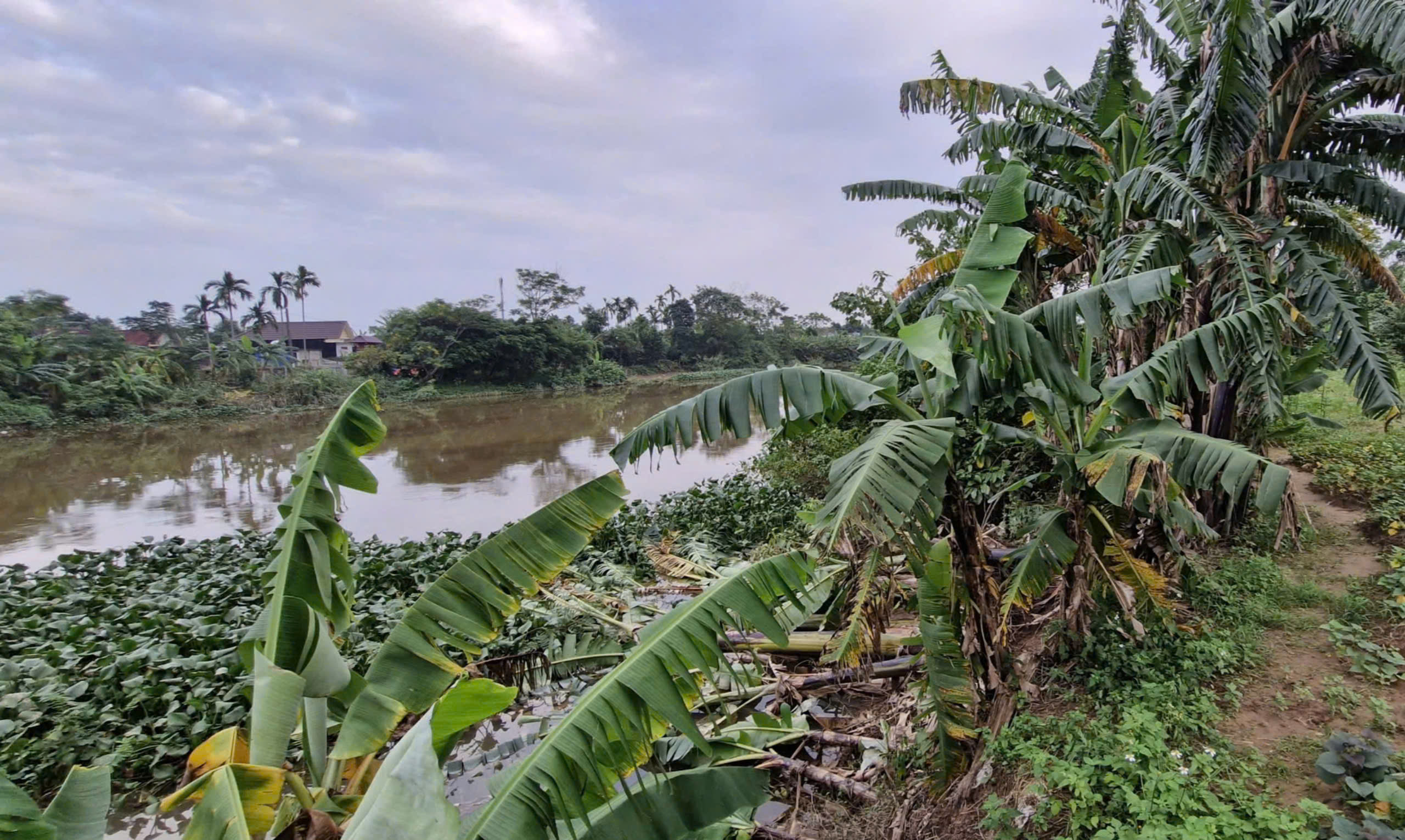 Bờ sông sạt lở nghiêm trọng sau mưa lũ, người dân bất an- Ảnh 11.