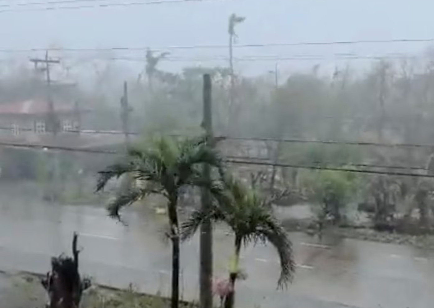 Siêu bão Man-yi tấn công Philippines 'có khả năng gây thảm họa'- Ảnh 1.