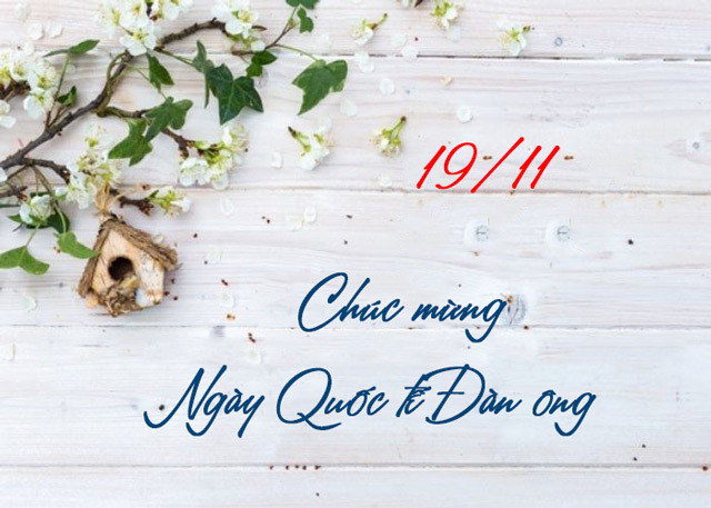 Những mẫu thiệp chúc mừng ngày Quốc tế Đàn ông 19/11 online đẹp nhất 2024- Ảnh 1.