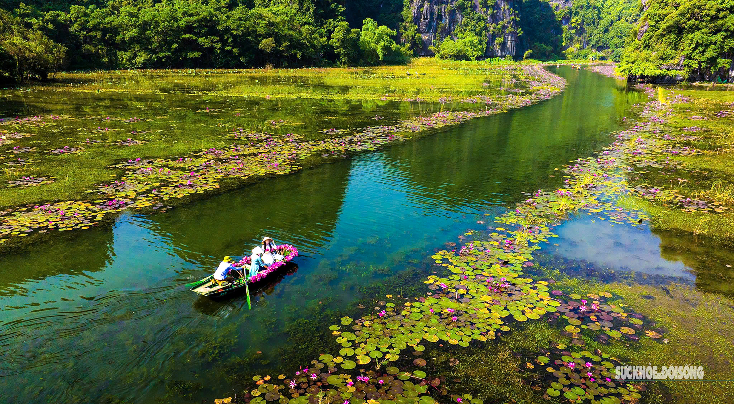 Đến Ninh Bình xem những dòng sông hoa súng đẹp quên lối về- Ảnh 1.