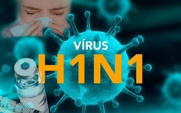 Bình Định ghi nhận 4 ca tử vong do cúm A(H1N1)pdm, Bộ Y tế đề nghị xử lý triệt để, hạn chế lây lan diện rộng