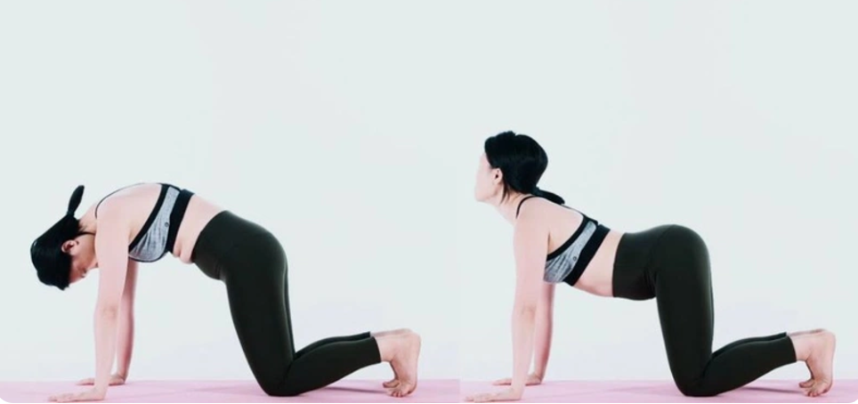 Một số tư thế yoga giúp giảm cơn đau lưng dưới- Ảnh 5.