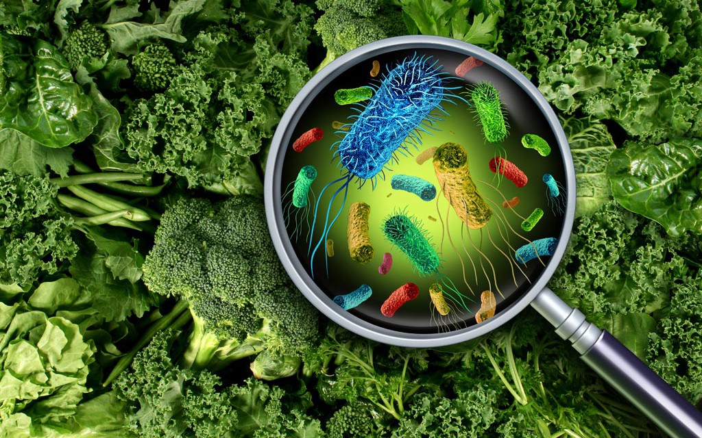 Thực phẩm nhiễm Salmonella nguy hiểm như thế nào?