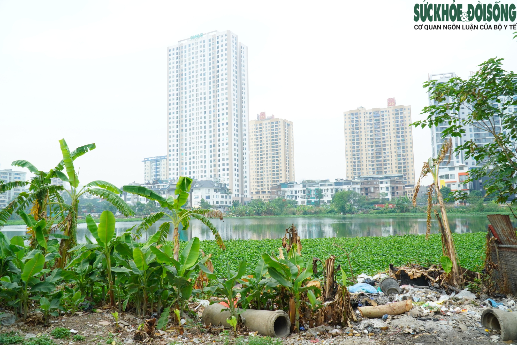 Hồ Đầm Đỗi có nguy cơ bị biến mất trước nạn đổ trộm rác thải?- Ảnh 2.