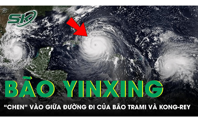 Bão Yinxing "chen" vào giữa đường đi của bão Trami và Kong-rey, cường độ cũng ở giữa