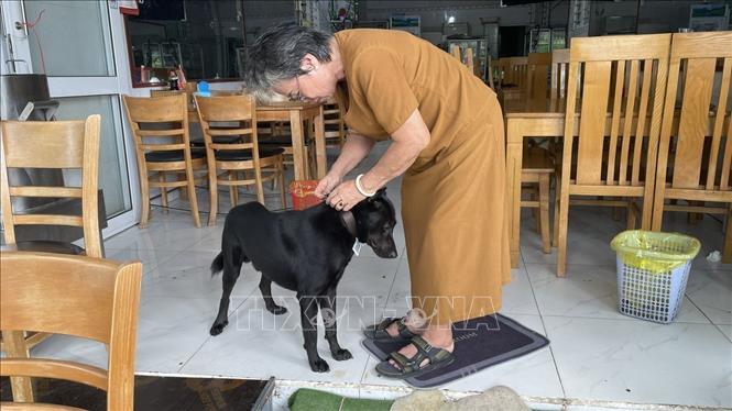 Đeo thẻ có gắn mã QR cho vật nuôi tại Côn Đảo- Ảnh 1. Đeo thẻ có gắn mã QR cho vật nuôi tại Côn Đảo- Ảnh 1.