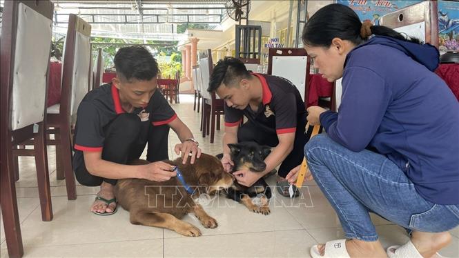 Đeo thẻ có gắn mã QR cho vật nuôi tại Côn Đảo- Ảnh 2. Đeo thẻ có gắn mã QR cho vật nuôi tại Côn Đảo- Ảnh 2.