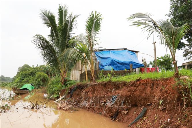 Quảng Trị: Bờ sông Vĩnh Định sạt lở nghiêm trọng khiến hàng trăm hộ dân bất an- Ảnh 2.