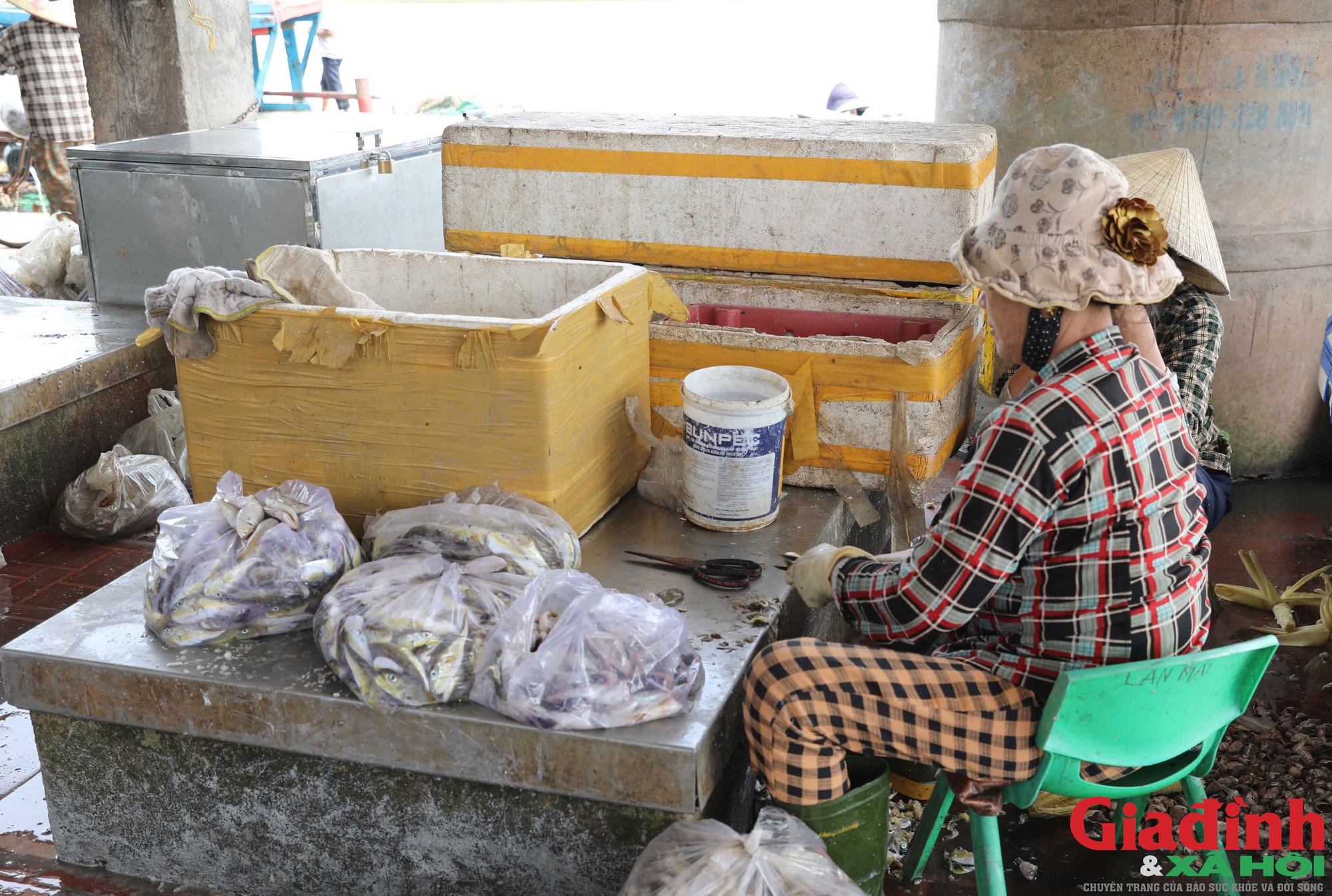 Nghệ An phản hồi gì về thông tin cá nóc chứa chất kịch độc, người dân vùng biển vẫn tranh nhau mua?- Ảnh 3.