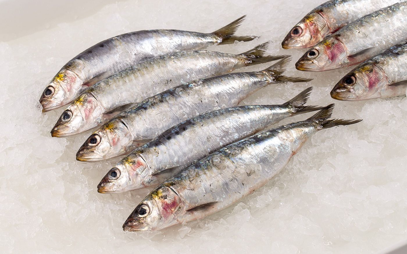 Cá mòi giàu omega-3 nhưng ai không nên ăn?