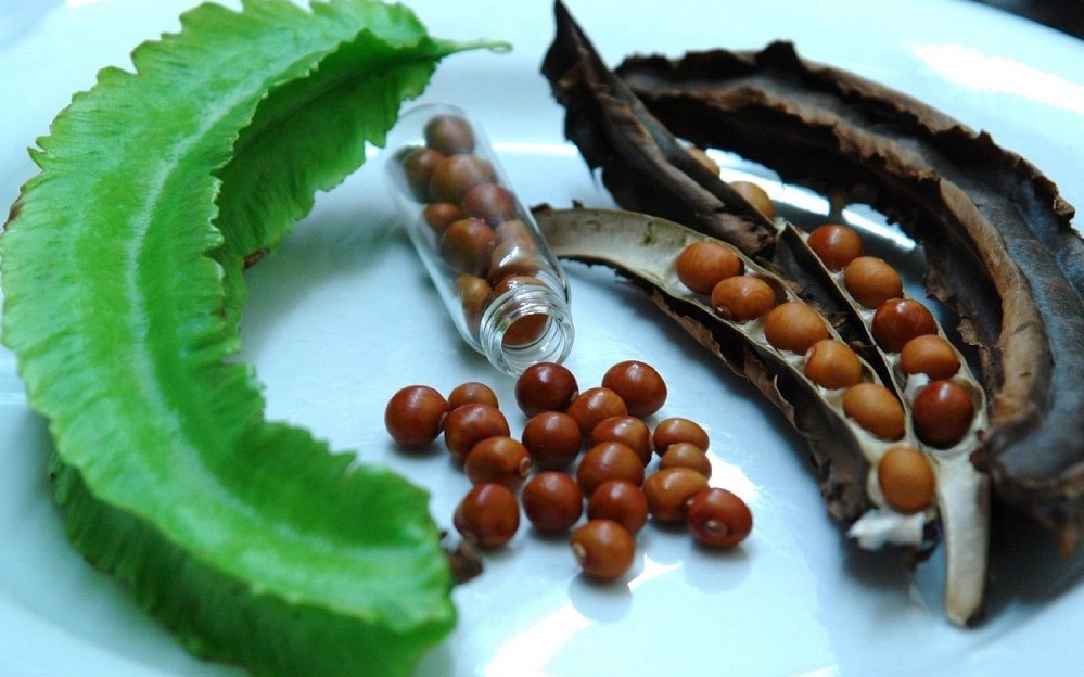 Đậu rồng có tác dụng hỗ trợ chữa bệnh gì? - Ảnh 2.