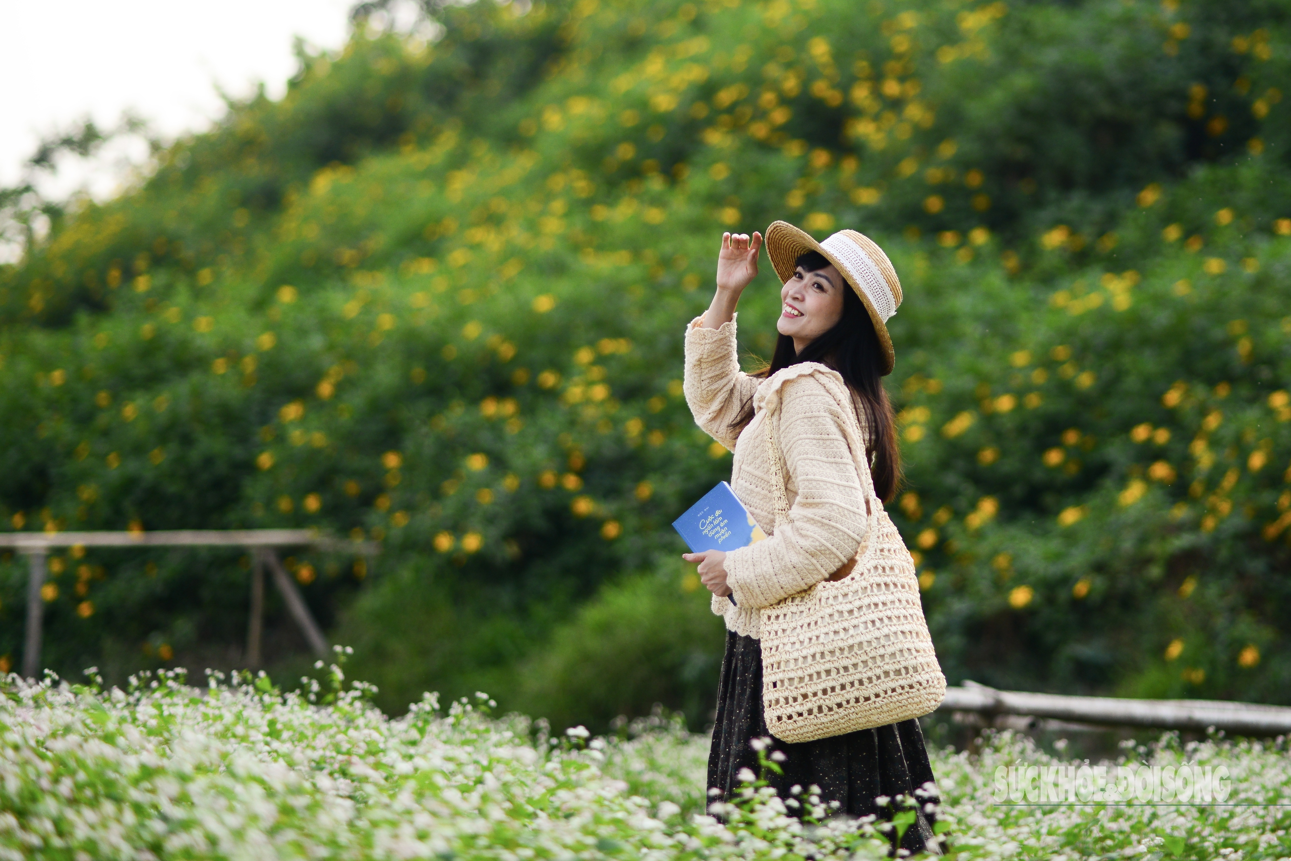 Ngỡ ngàng vườn hoa tam giác mạch miền sơn cước bung nở giữa lòng Thủ đô- Ảnh 7.