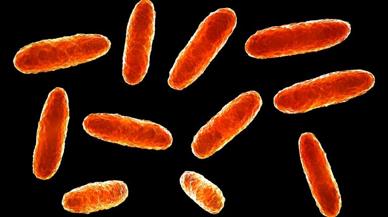 Mexico: Thêm nhiều trẻ em tử vong do nhiễm vi khuẩn Klebsiella oxytoca- Ảnh 1.