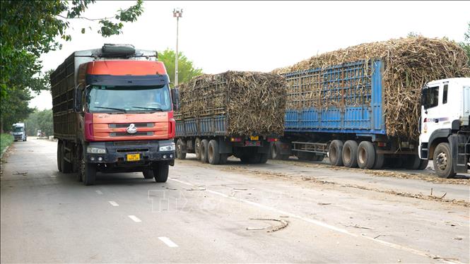 Tuyên truyền, xử lý xe chở quá tải mùa thu hoạch mía- Ảnh 2.