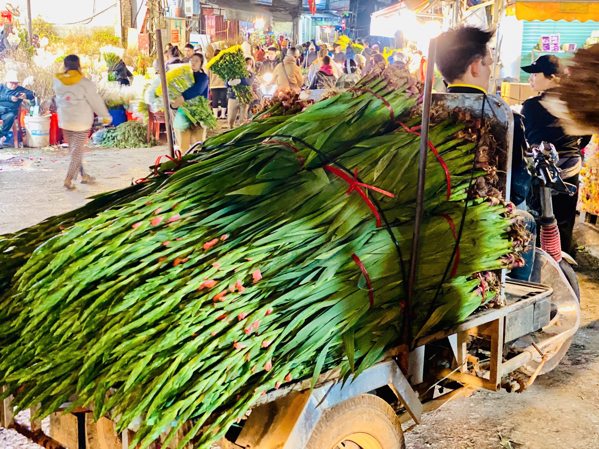 Thị trường Tết 2025: Nhiều loại hoa ‘độc lạ’ được khách hàng thi nhau săn đón tại chợ hoa lớn nhất Thủ đô- Ảnh 5.