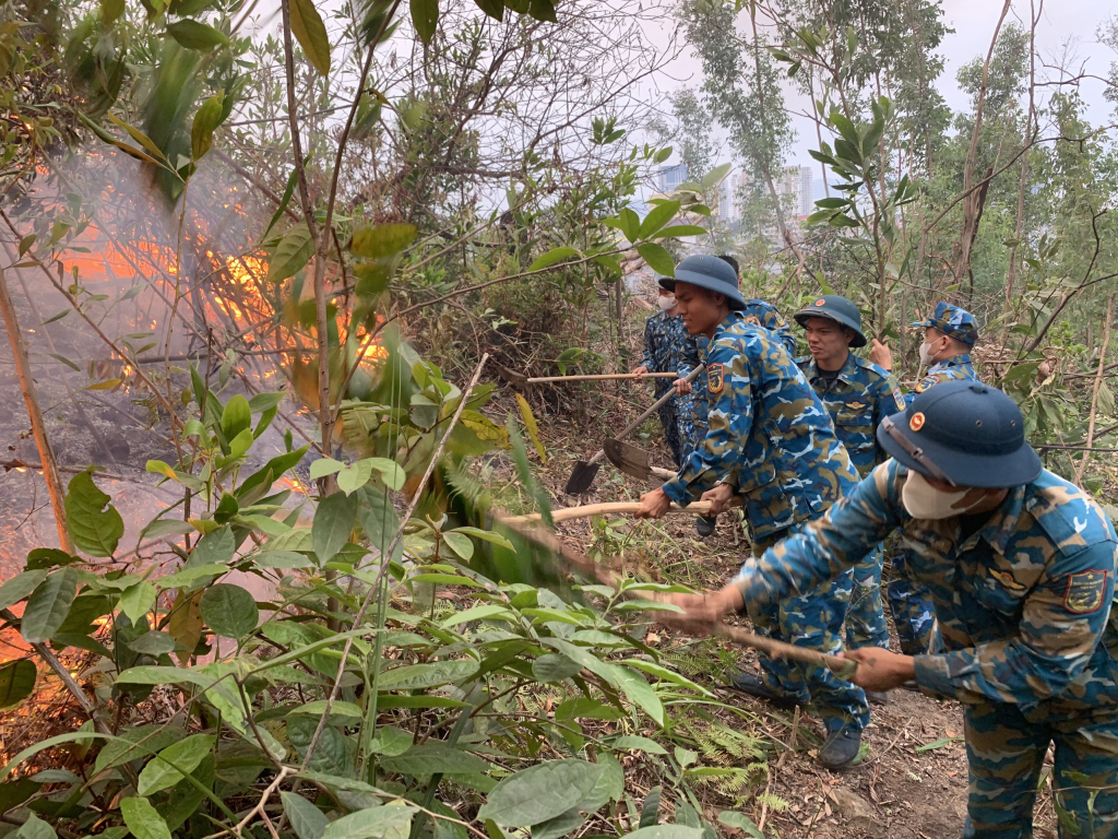 Cháy rừng trong đêm, Quảng Ninh huy động nhiều lực lượng dập lửa- Ảnh 2.