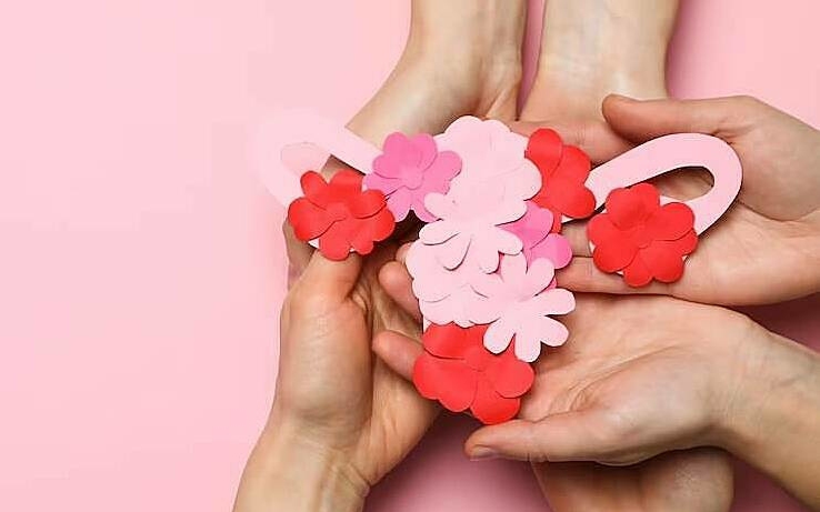 6 mẹo chăm sóc ‘vùng kín’ - mọi phụ nữ nên biết- Ảnh 2.
