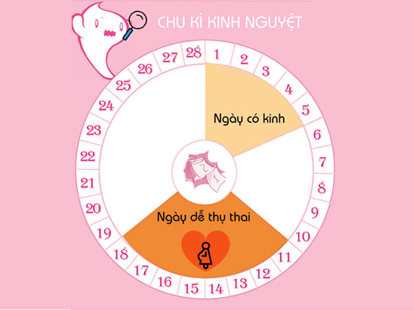 Quan hệ trước kỳ kinh nguyệt có thụ thai không?- Ảnh 1.