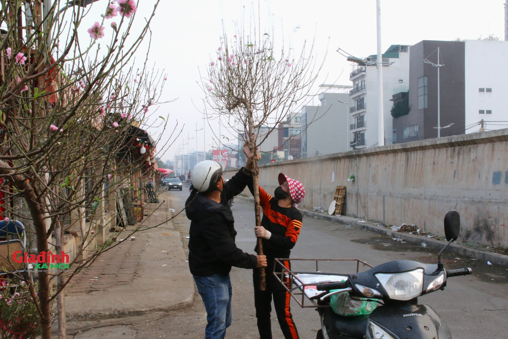 Đào Nhật Tân khoe sắc, xuống phố phục vụ người dân chơi Tết sớm- Ảnh 6.