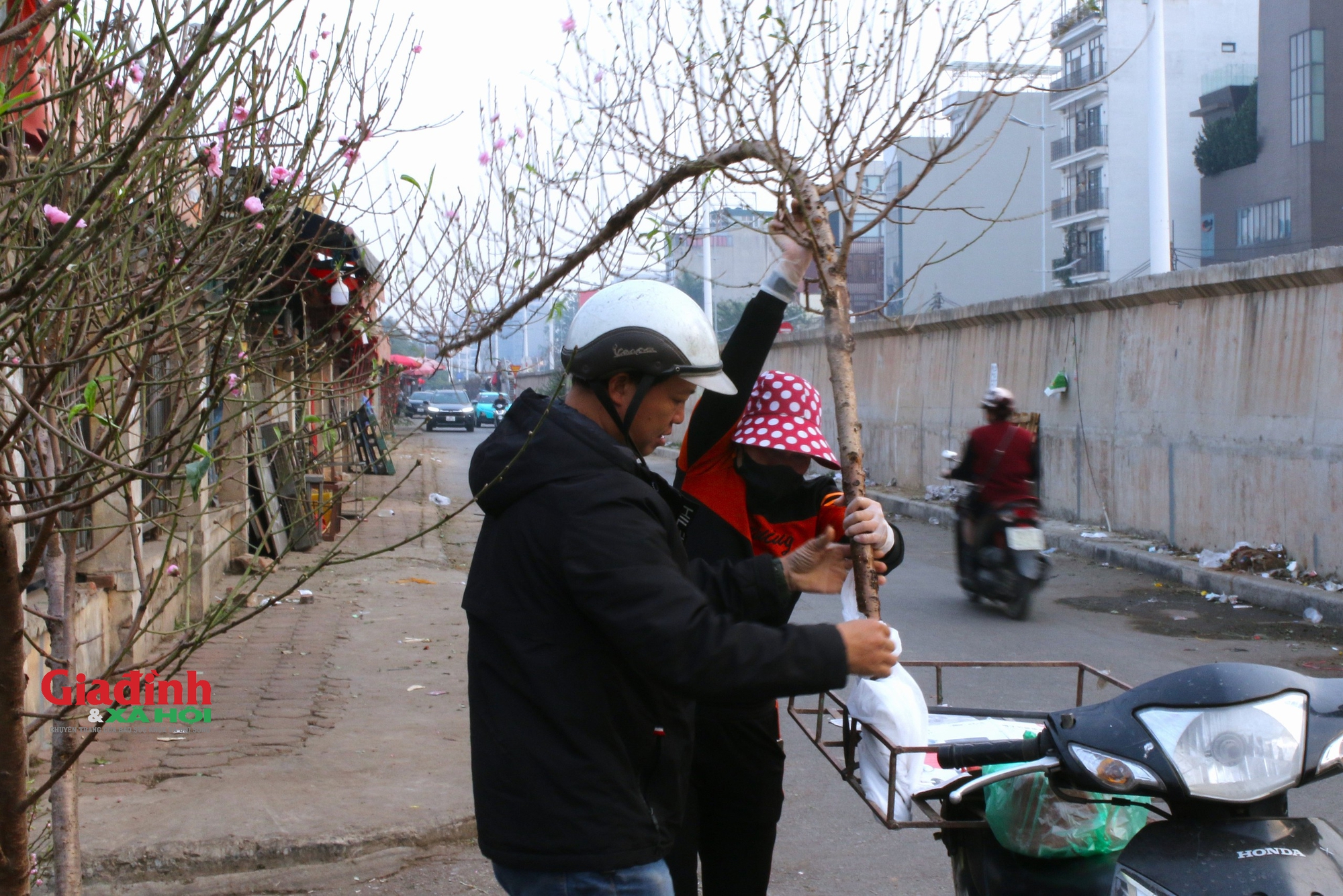 Đào Nhật Tân khoe sắc, xuống phố phục vụ người dân chơi Tết sớm- Ảnh 7.