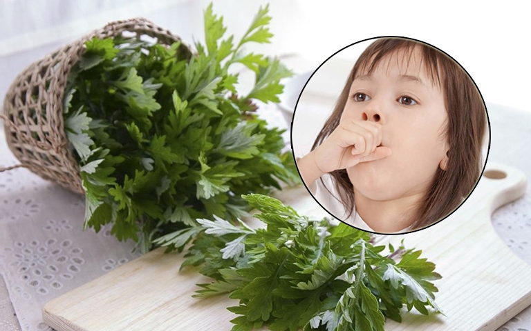 Cách dùng ngải cứu trong chăm sóc sức khỏe