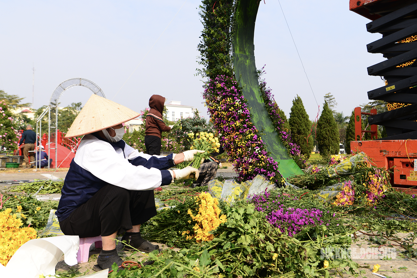 Festival hoa Mê Linh sẵn sàng chào đón du khách- Ảnh 6.